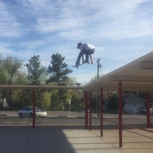 Meet your Posher, Milo